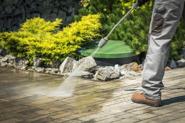 Best Animal Enclosure Cleaning  in Elwood, KS